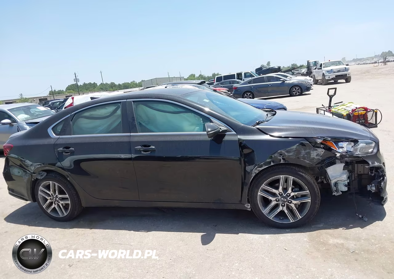 2020 Kia Forte Ex VIN:3KPF54AD6LE165633 - 13
