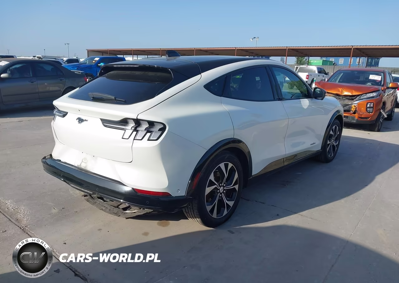 2021 Ford Mustang Mach-E Premium VIN:3FMTK3RM7MMA45708 - 4