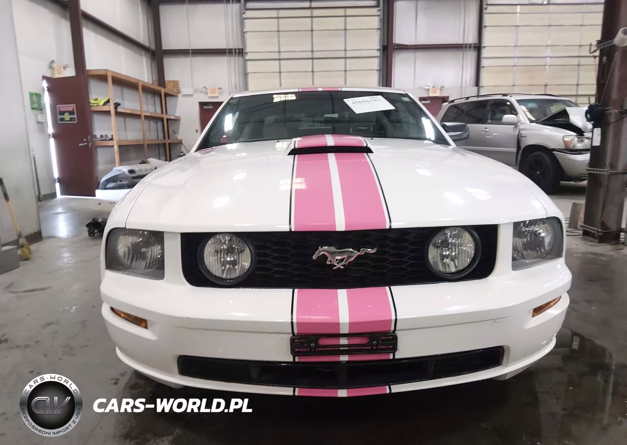 2008 Ford Mustang Gt Deluxe-Gt Premium VIN:1ZVHT85H385106591 - 13