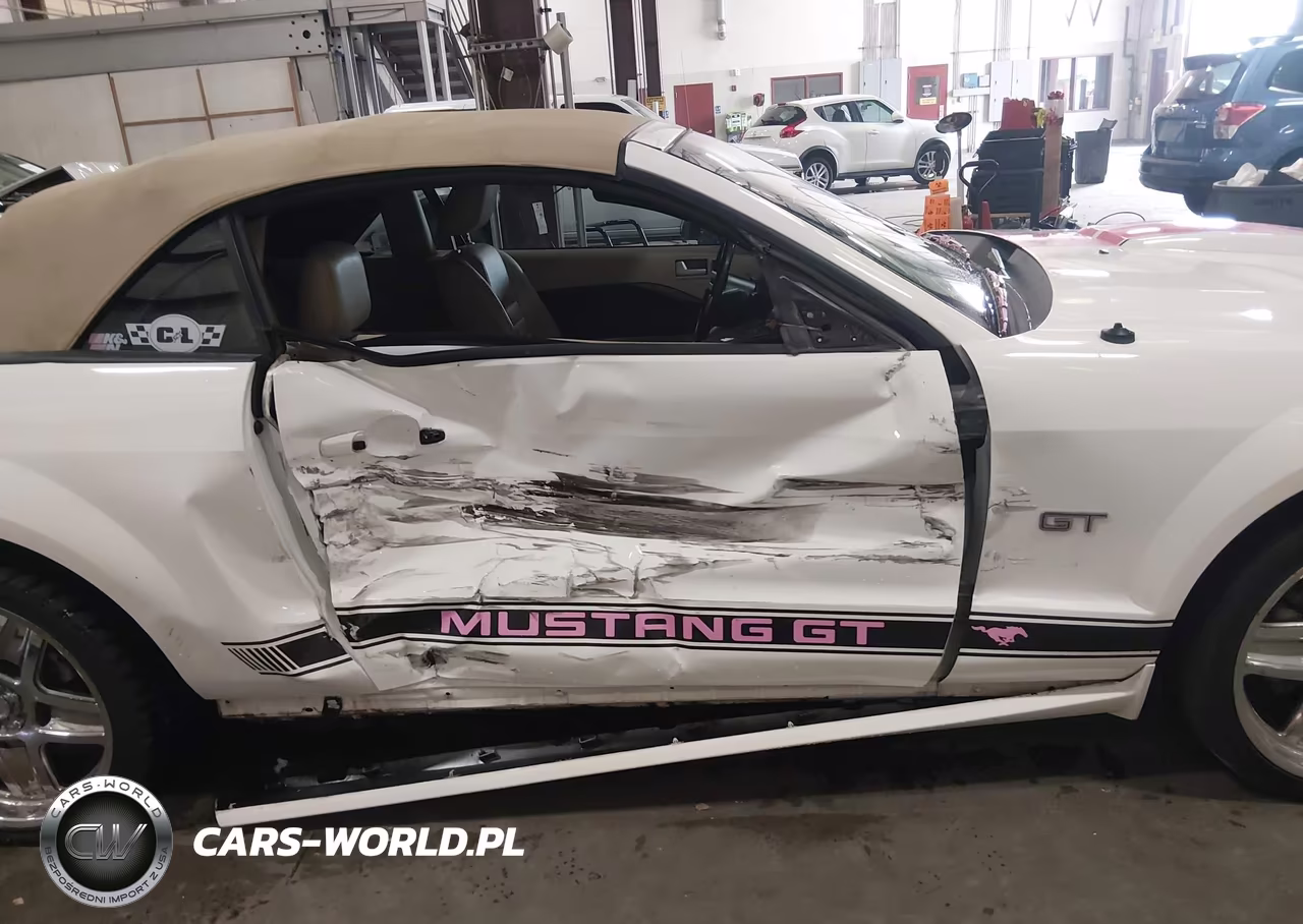 2008 Ford Mustang Gt Deluxe-Gt Premium VIN:1ZVHT85H385106591 - 14