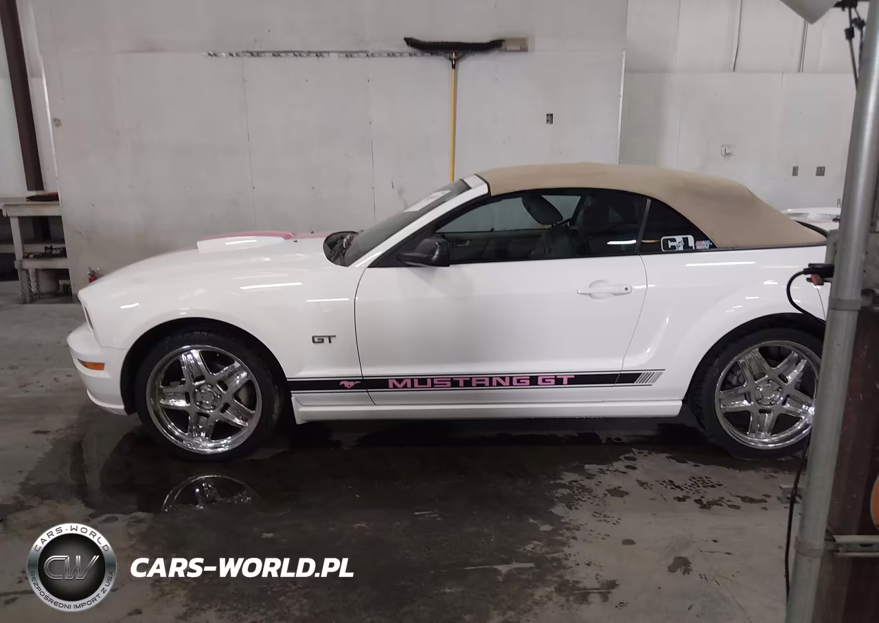 2008 Ford Mustang Gt Deluxe-Gt Premium VIN:1ZVHT85H385106591 - 15