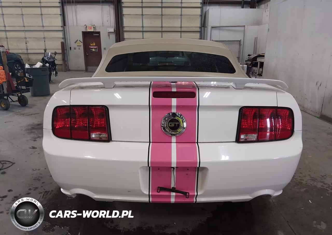 2008 Ford Mustang Gt Deluxe-Gt Premium VIN:1ZVHT85H385106591 - 17