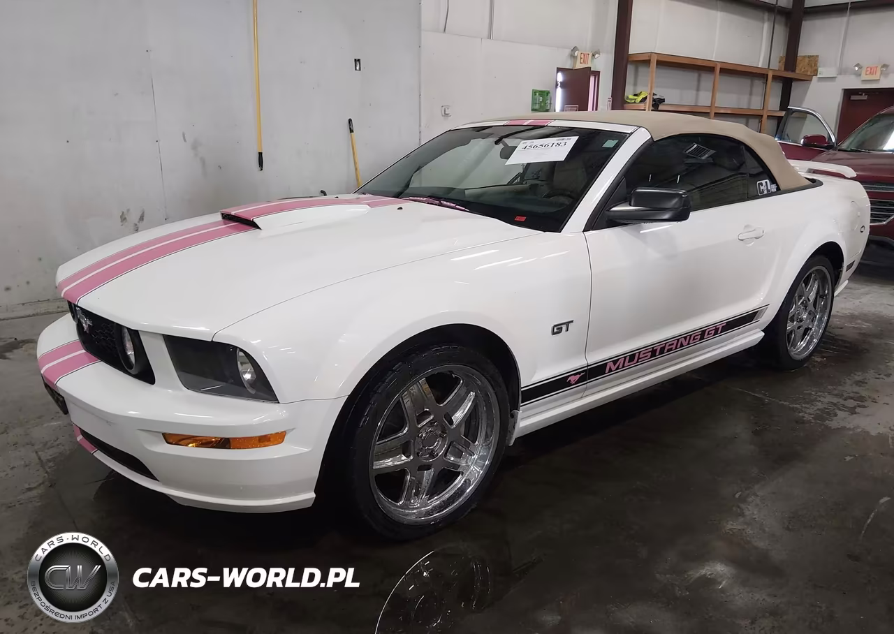 2008 Ford Mustang Gt Deluxe-Gt Premium VIN:1ZVHT85H385106591 - 2
