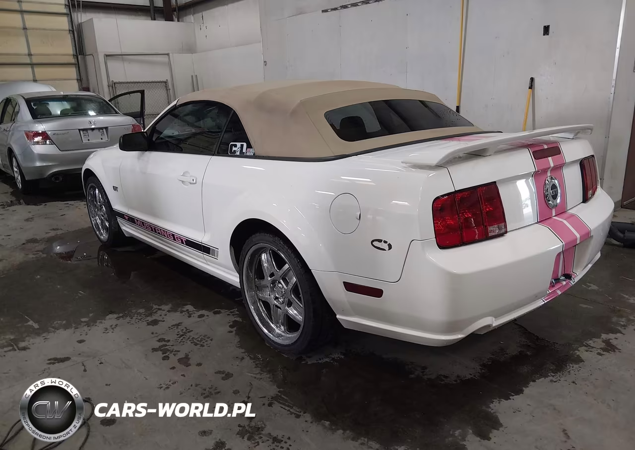 2008 Ford Mustang Gt Deluxe-Gt Premium VIN:1ZVHT85H385106591 - 3
