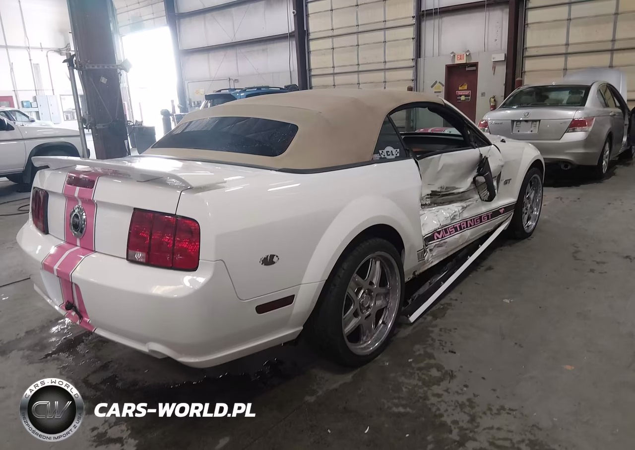 2008 Ford Mustang Gt Deluxe-Gt Premium VIN:1ZVHT85H385106591 - 4