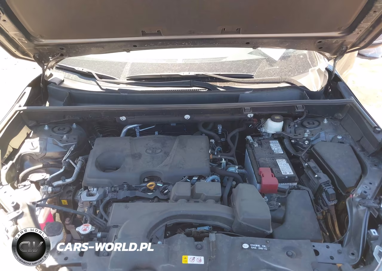 2025 Toyota Rav4 Xle VIN:2T3W1RFVXSW393504 - 10