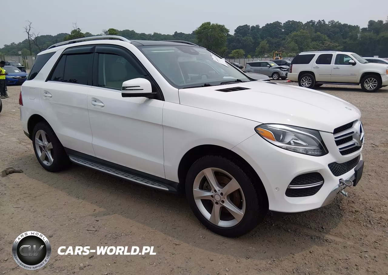 2017 Mercedes-Benz Gle 350 4Matic VIN:4JGDA5HB7HA836343 - 1