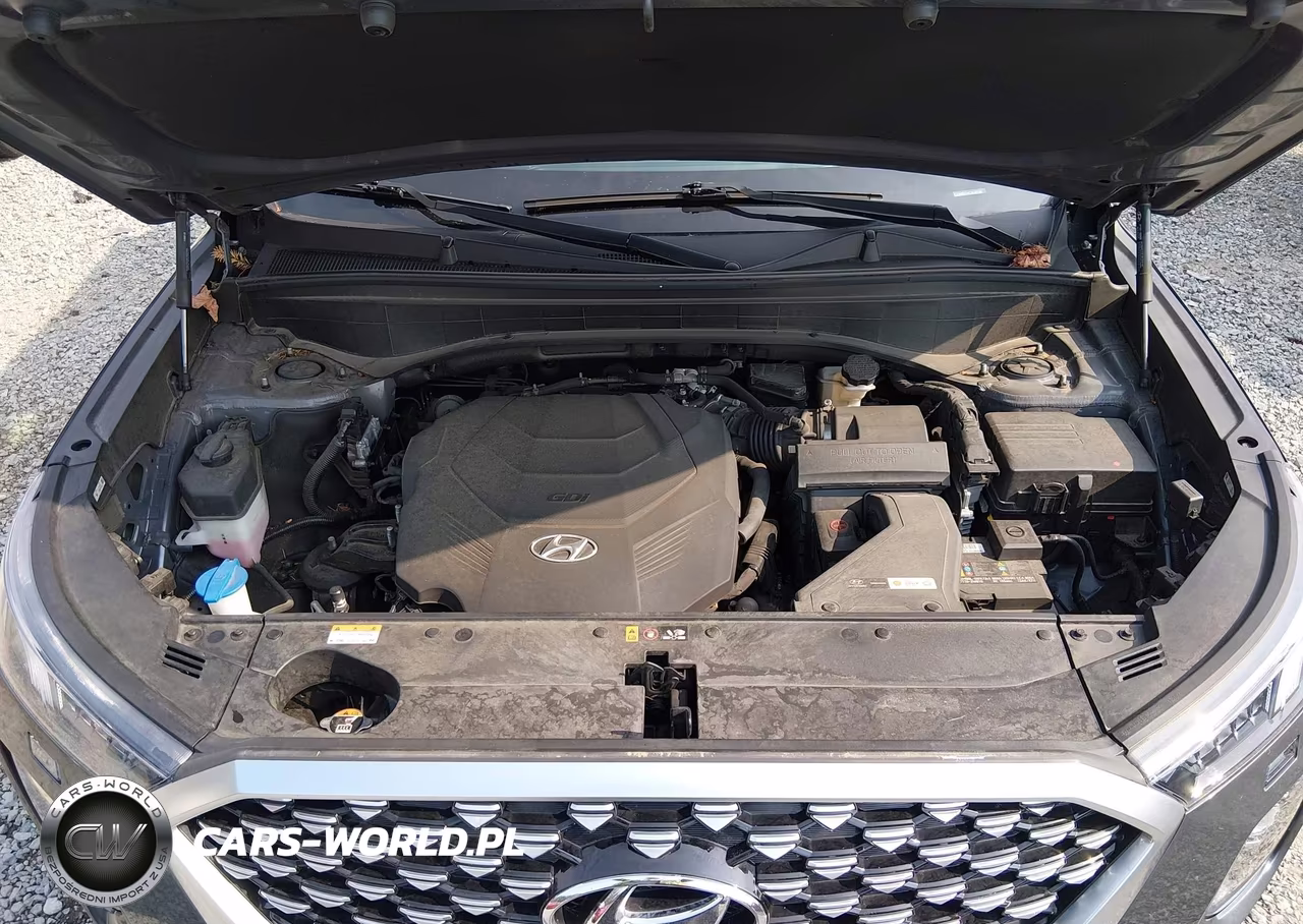 2021 Hyundai Palisade Calligraphy VIN:KM8R7DHE7MU287986 - 10