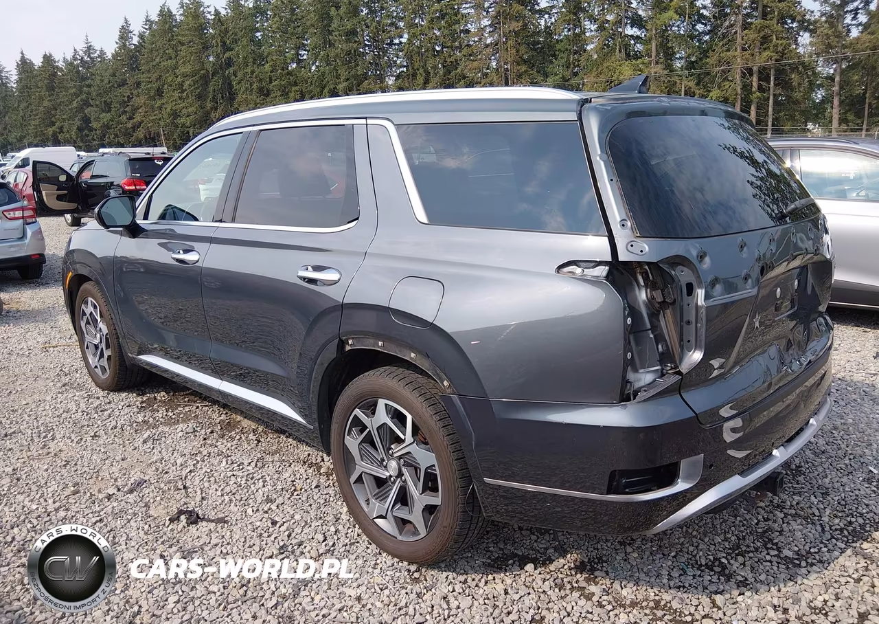 2021 Hyundai Palisade Calligraphy VIN:KM8R7DHE7MU287986 - 3
