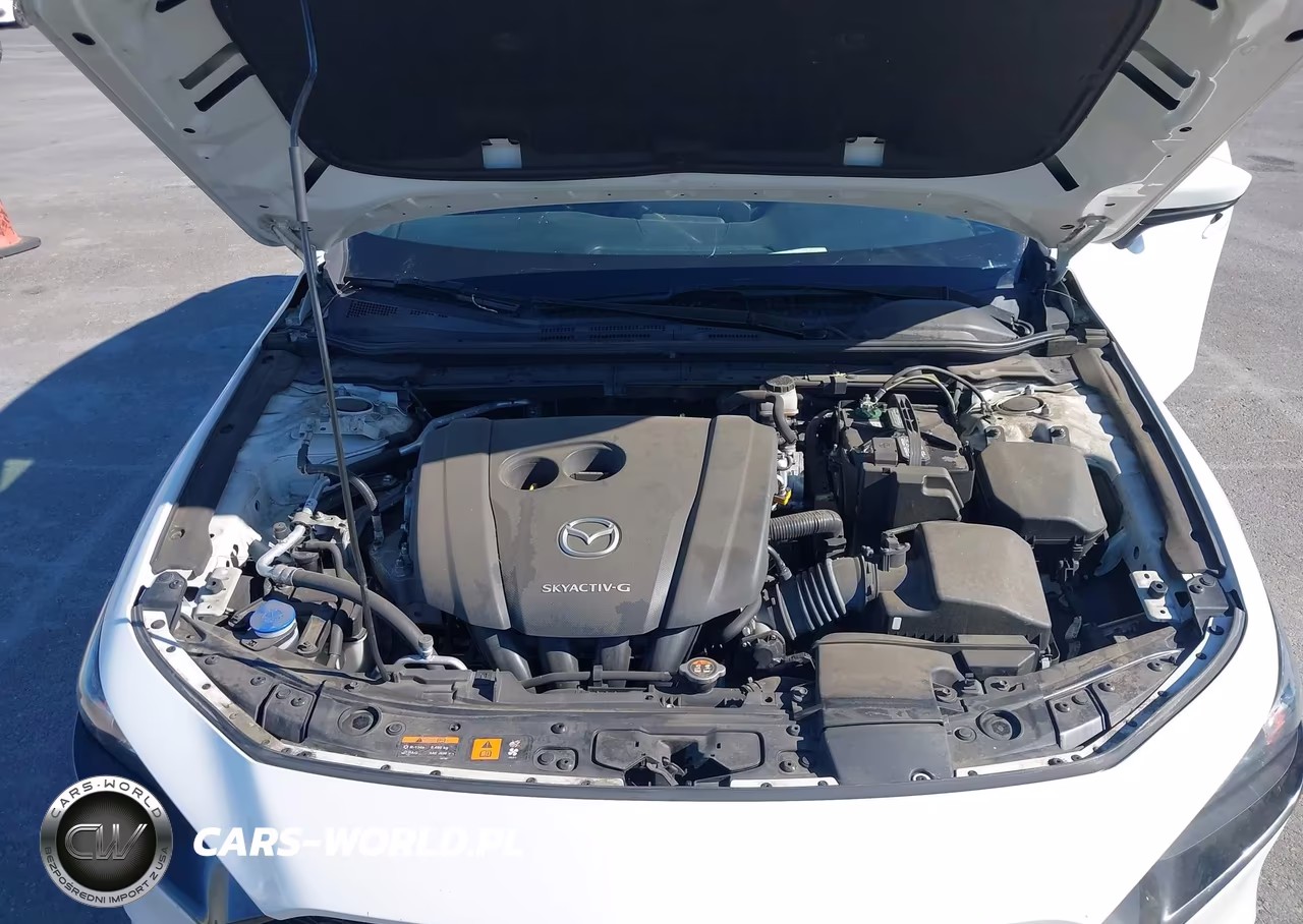 2019 Mazda Mazda3 Preferred Package VIN:JM1BPAMM7K1136176 - 10
