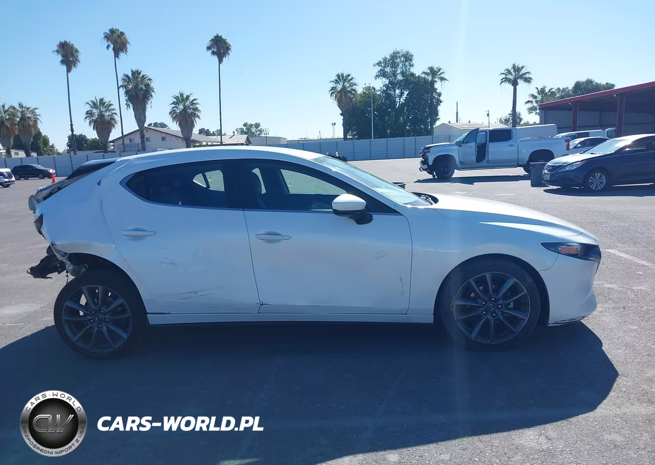 2019 Mazda Mazda3 Preferred Package VIN:JM1BPAMM7K1136176 - 13