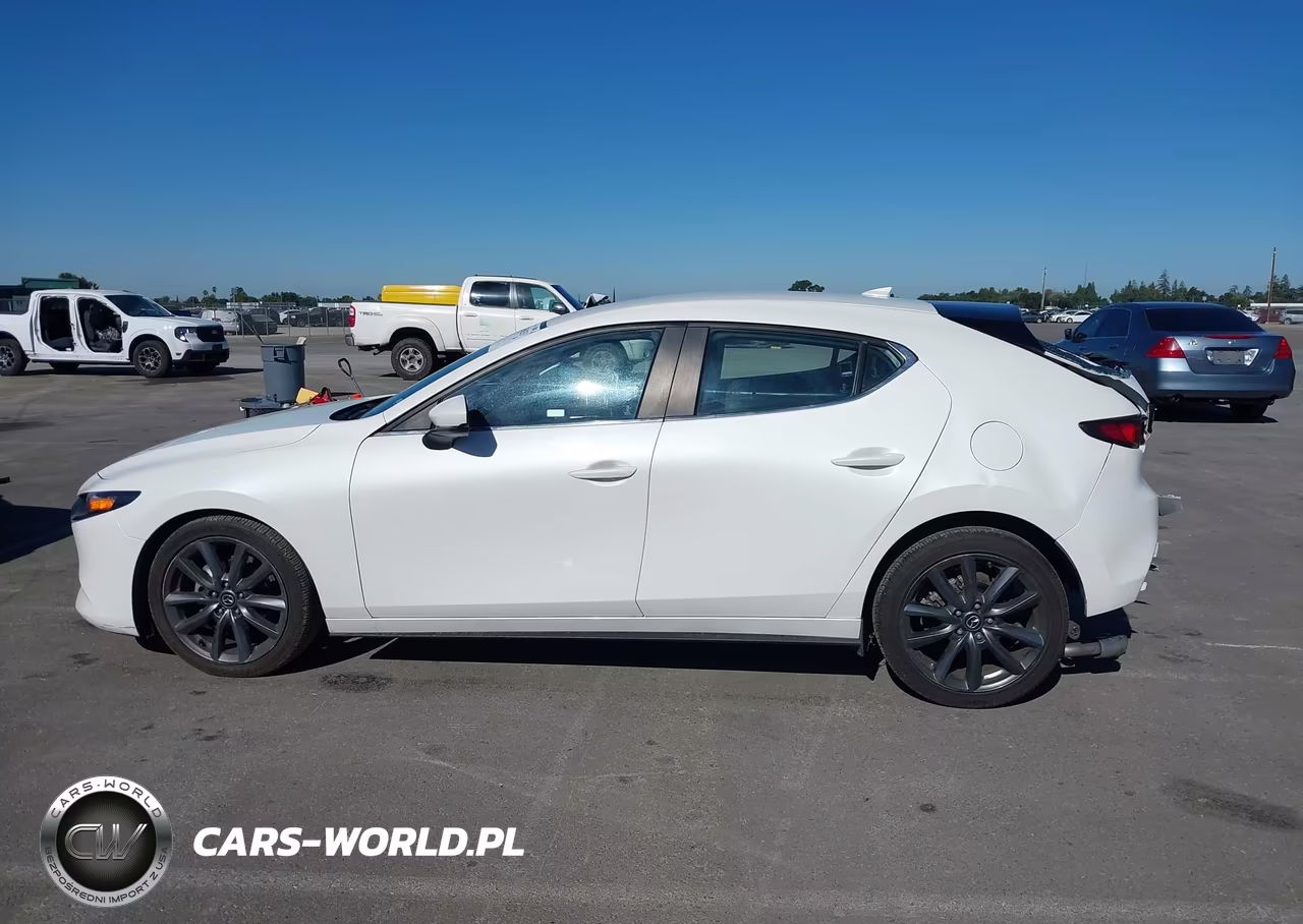 2019 Mazda Mazda3 Preferred Package VIN:JM1BPAMM7K1136176 - 14