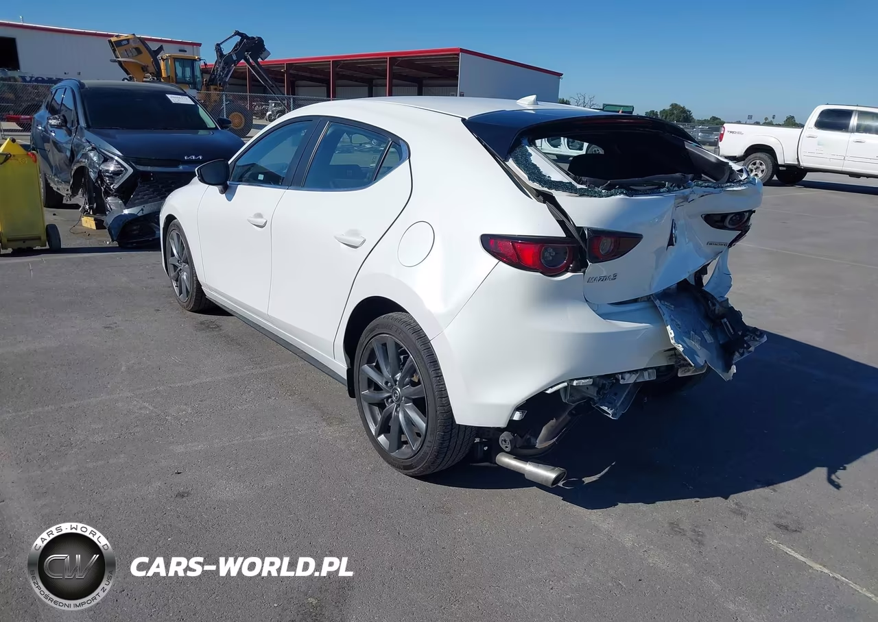 2019 Mazda Mazda3 Preferred Package VIN:JM1BPAMM7K1136176 - 3