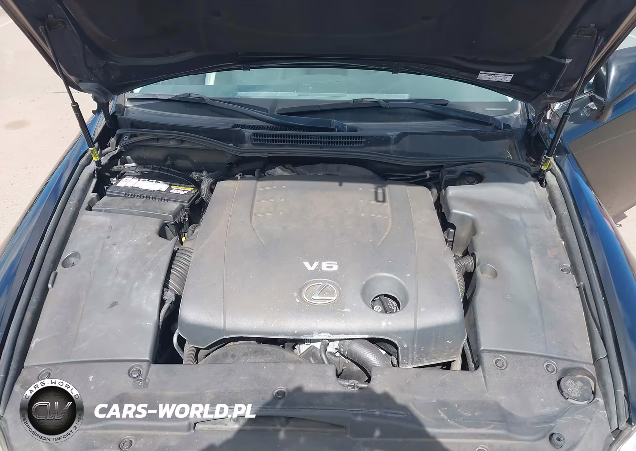 2006 Lexus Is VIN:JTHDK262162018235 - 10