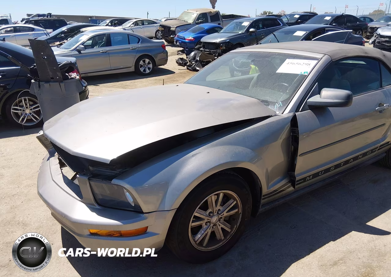 2008 Ford Mustang V6 Deluxe-V6 Premium VIN:1ZVHT84N585178979 - 12