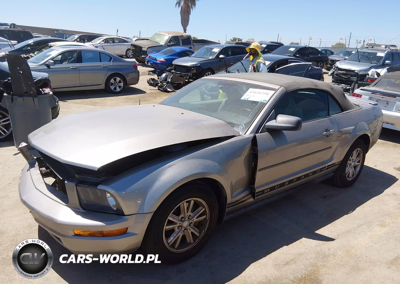 2008 Ford Mustang V6 Deluxe-V6 Premium VIN:1ZVHT84N585178979 - 2