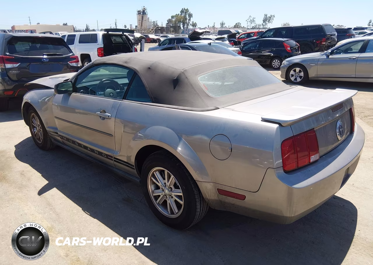 2008 Ford Mustang V6 Deluxe-V6 Premium VIN:1ZVHT84N585178979 - 3