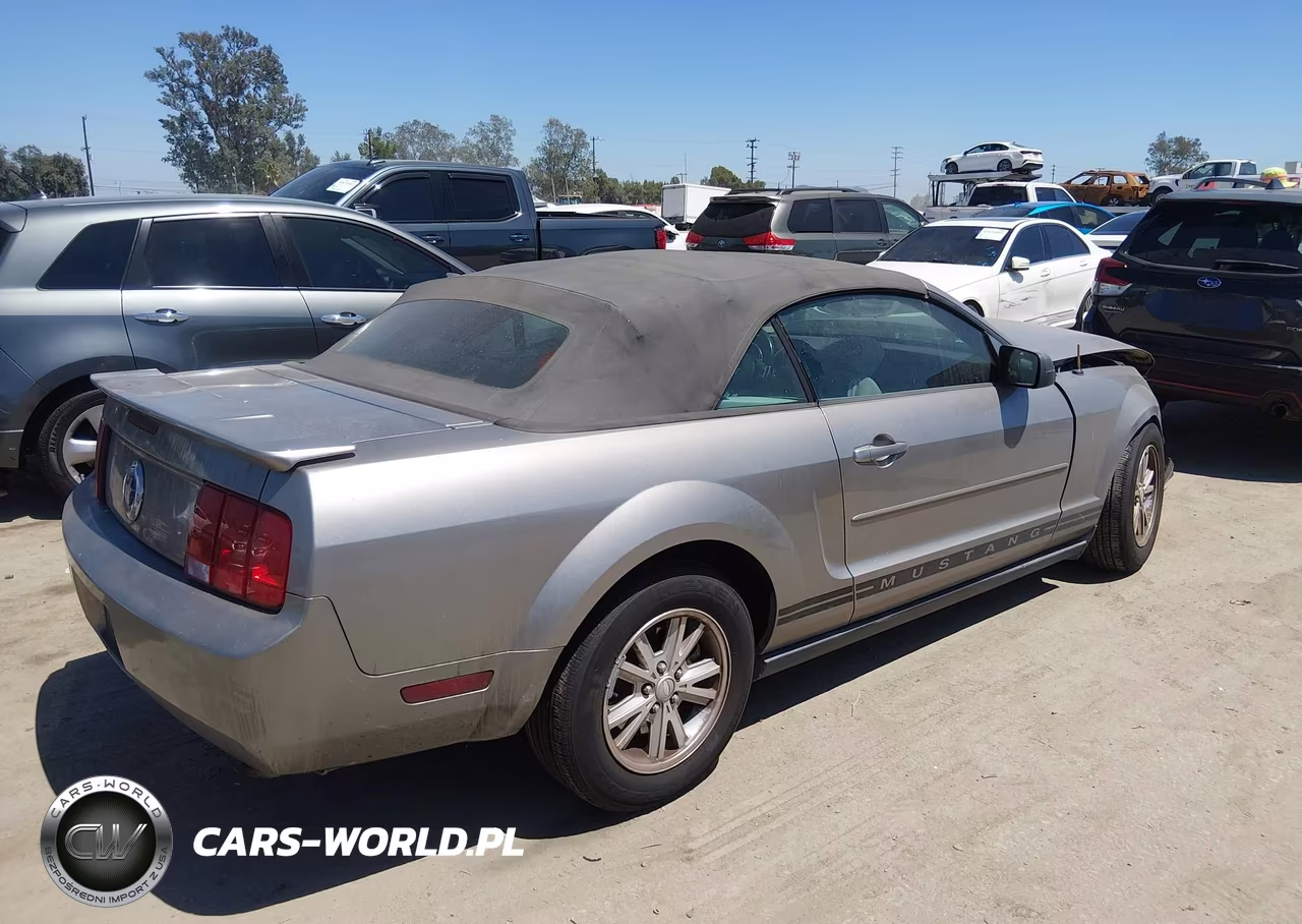 2008 Ford Mustang V6 Deluxe-V6 Premium VIN:1ZVHT84N585178979 - 4