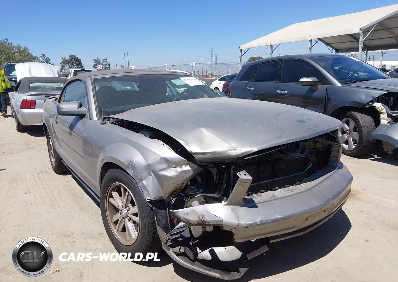 2008 Ford Mustang V6 Deluxe-V6 Premium VIN:1ZVHT84N585178979 - 6