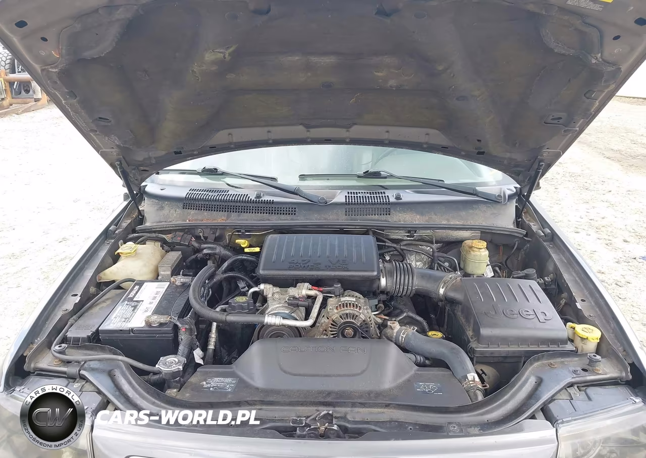 2004 Jeep Grand Cherokee Laredo VIN:1J4GW48N44C319419 - 10