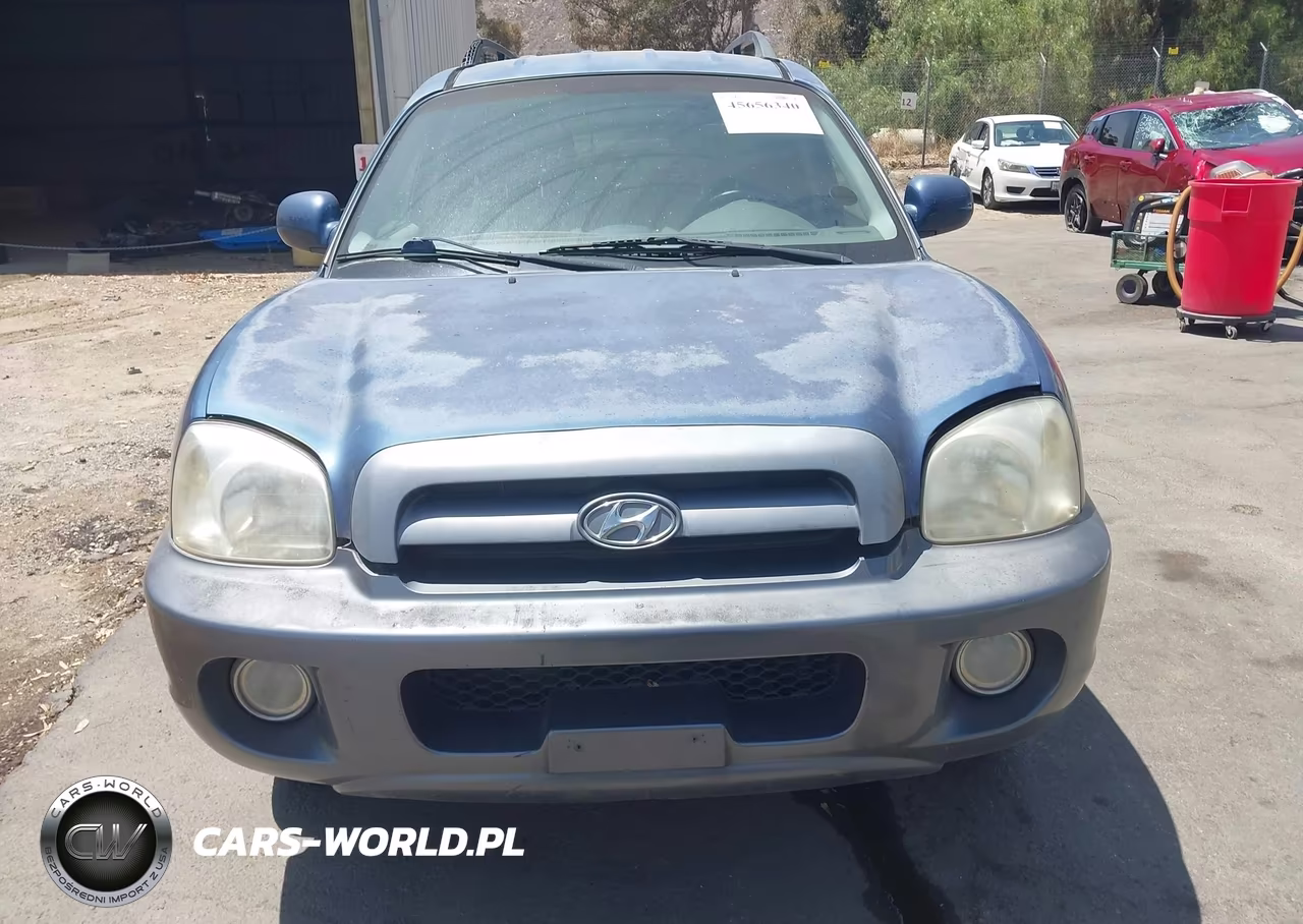2006 Hyundai Santa Fe Gls VIN:KM8SC13D76U106012 - 6