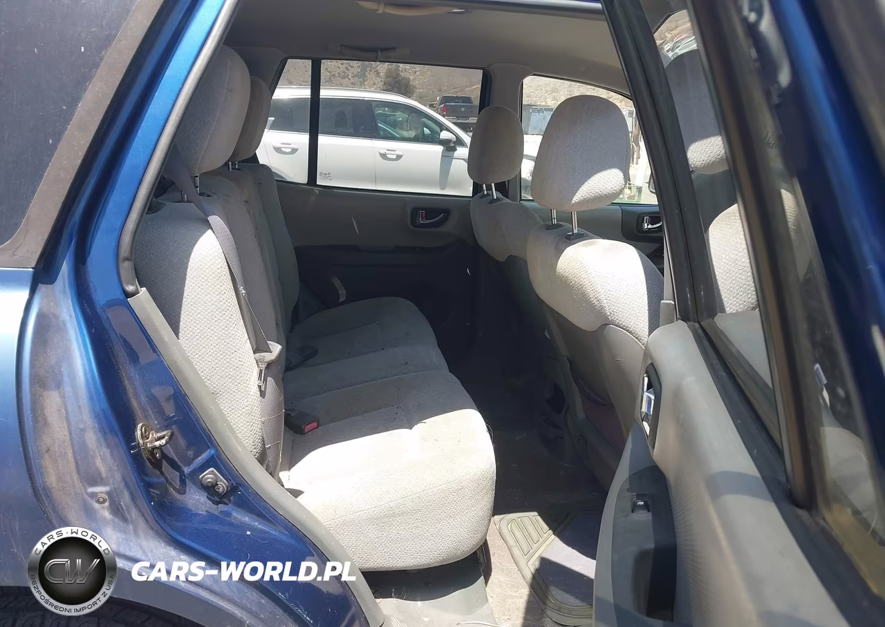 2006 Hyundai Santa Fe Gls VIN:KM8SC13D76U106012 - 8