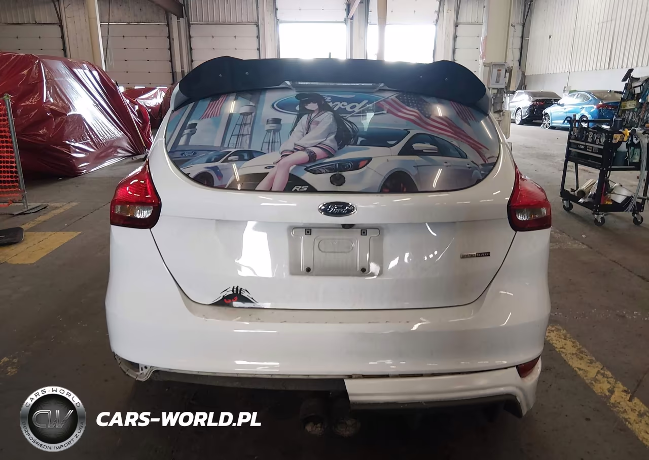 2017 Ford Focus St VIN:1FADP3L98HL322409 - 17