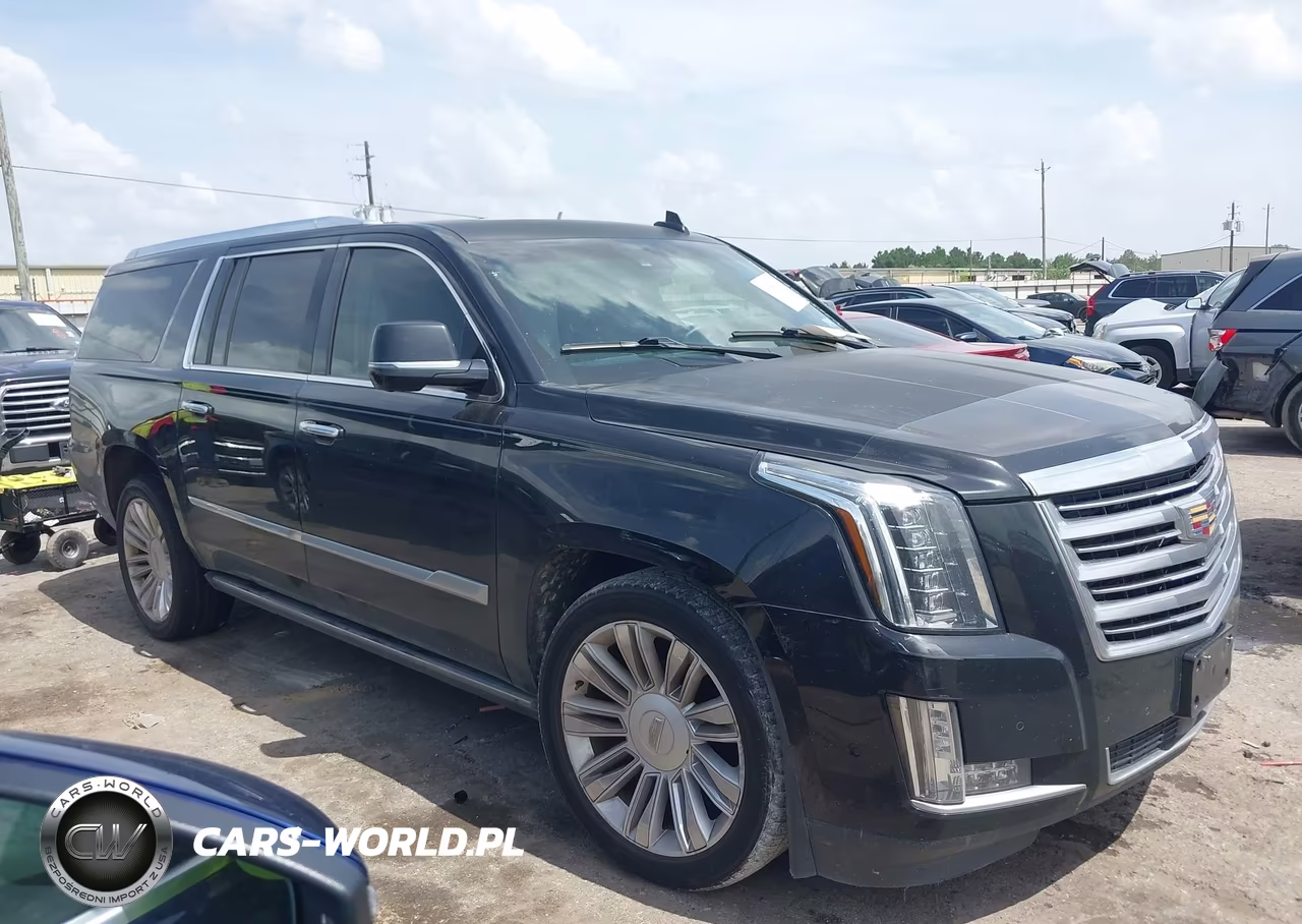 2017 Cadillac Escalade Esv Platinum VIN:1GYS3KKJ5HR276600 - 13