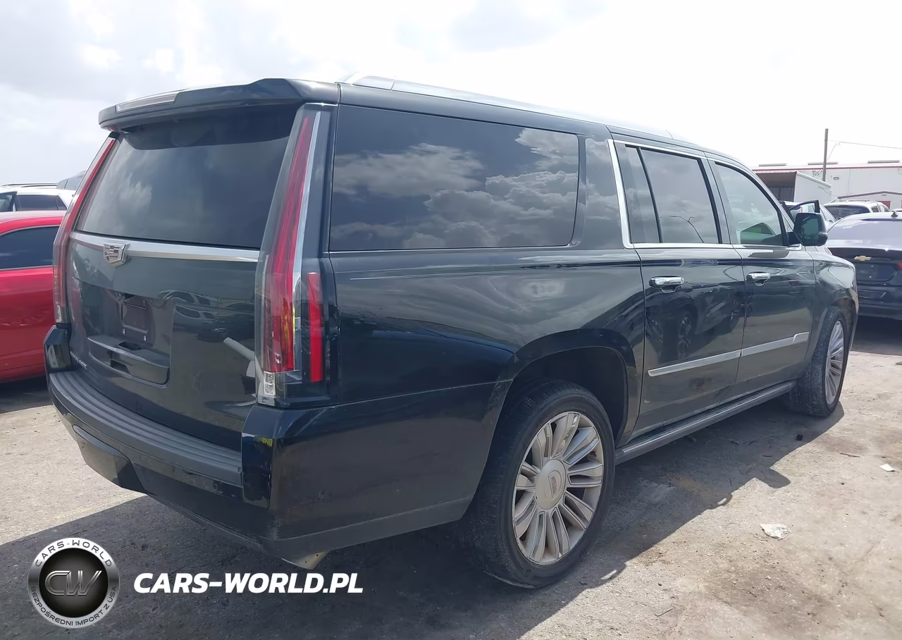 2017 Cadillac Escalade Esv Platinum VIN:1GYS3KKJ5HR276600 - 4