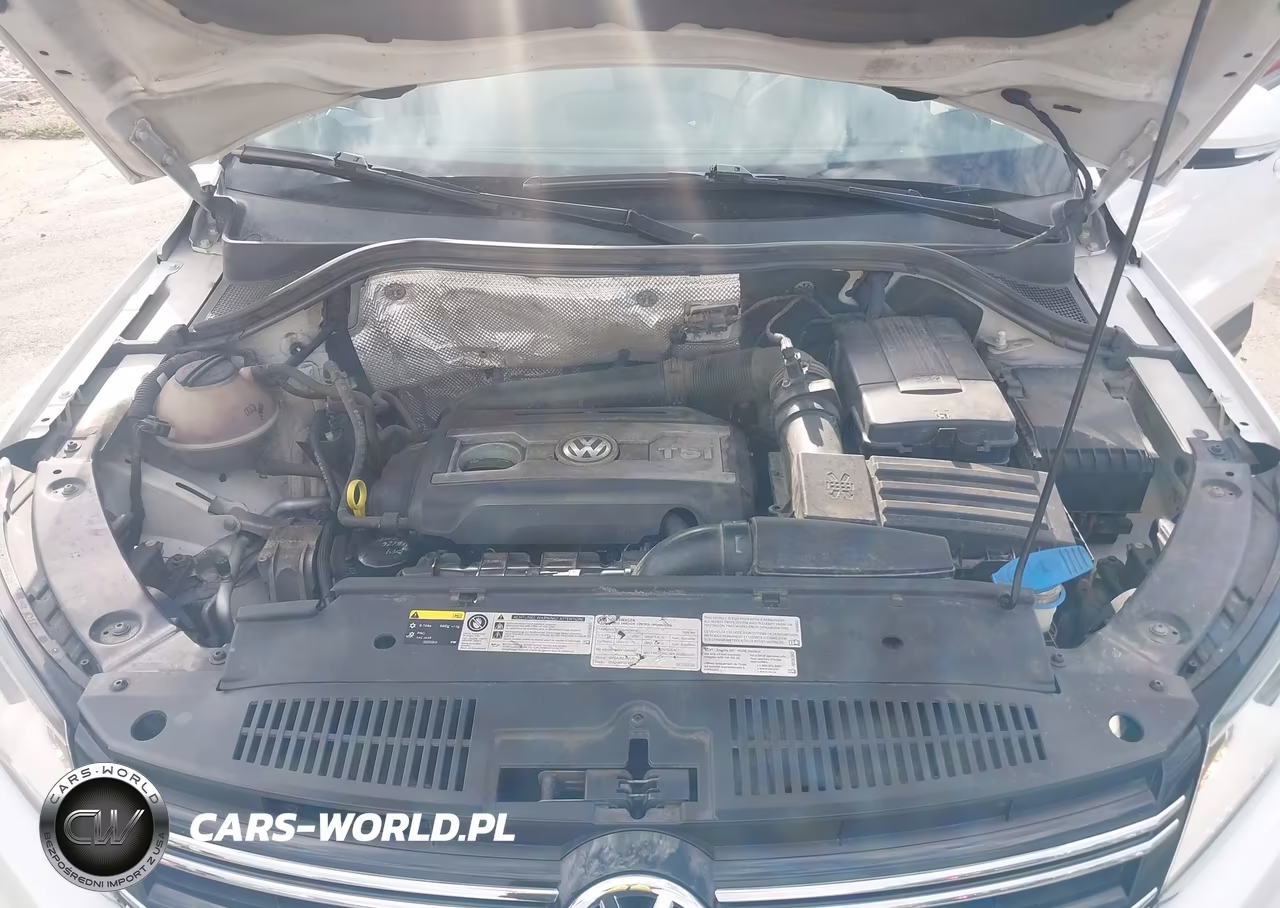 2016 Volkswagen Tiguan S VIN:WVGBV7AX4GW611473 - 10