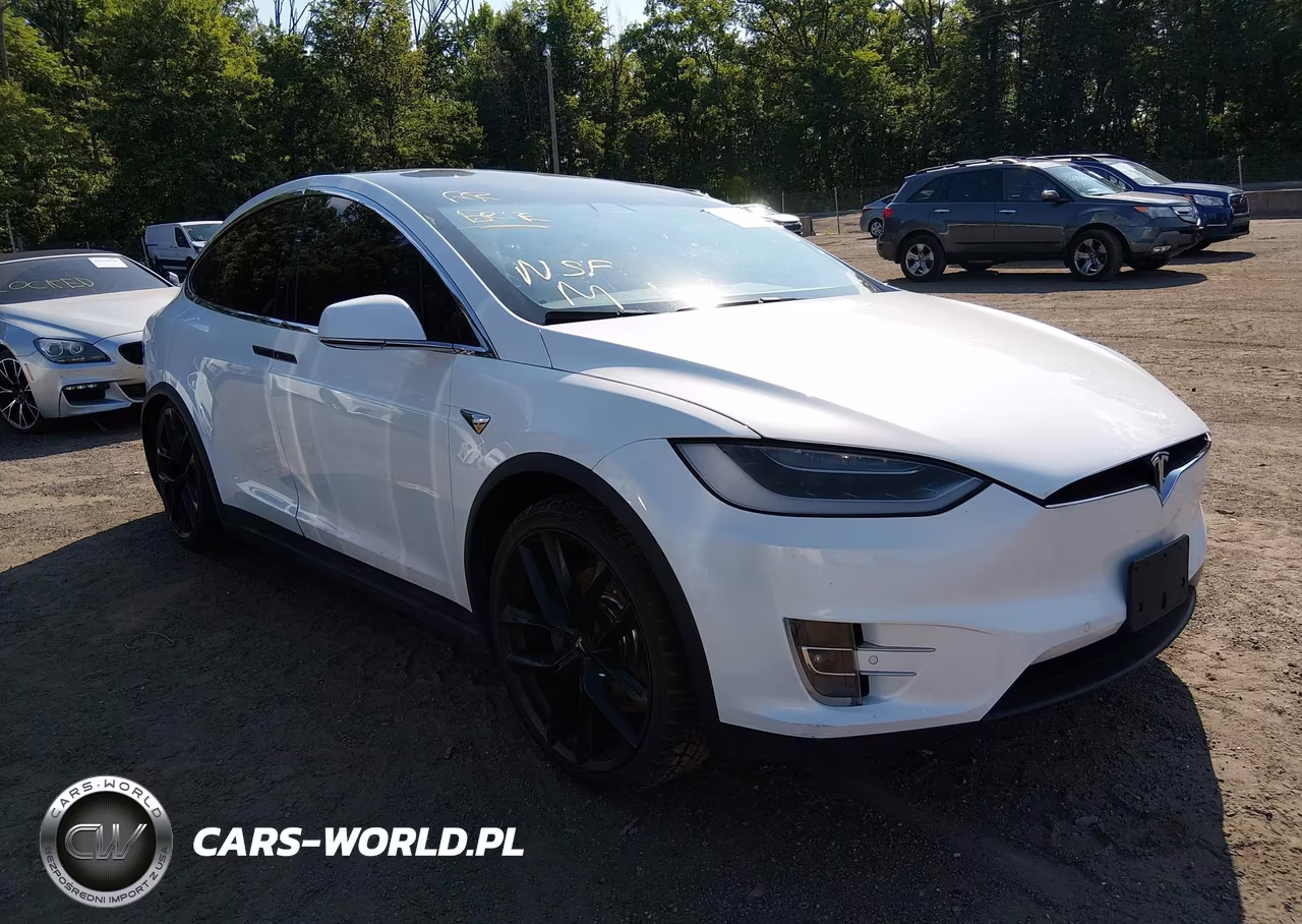 2017 Tesla Model X 100D-75D-90D