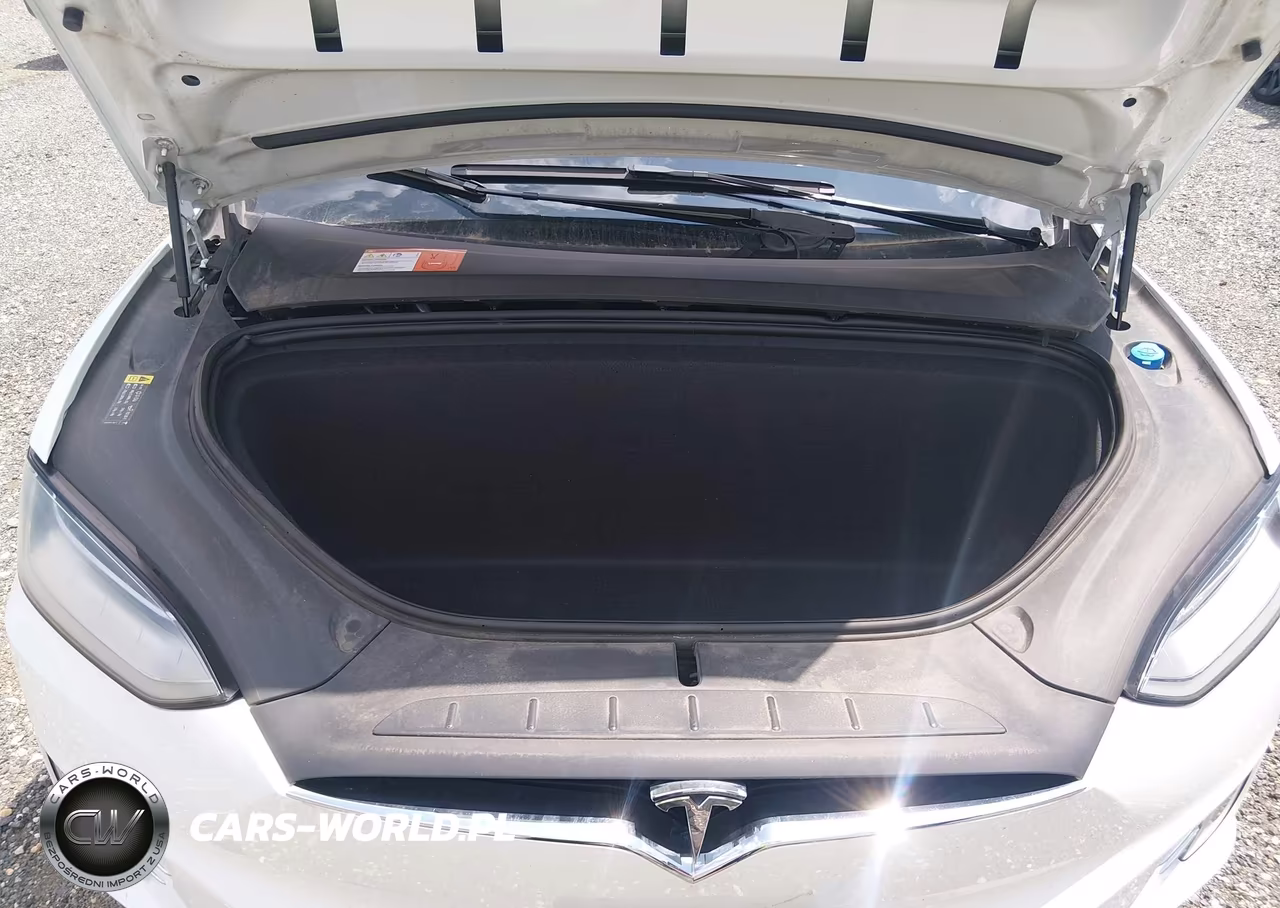 2017 Tesla Model X 100D-75D-90D VIN:5YJXCBE24HF050280 - 10