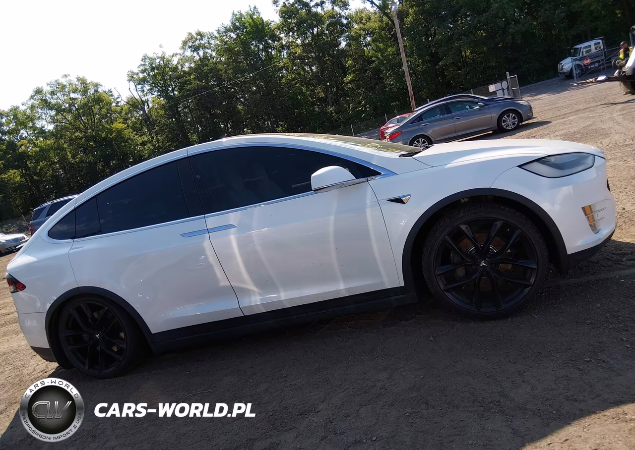 2017 Tesla Model X 100D-75D-90D VIN:5YJXCBE24HF050280 - 13
