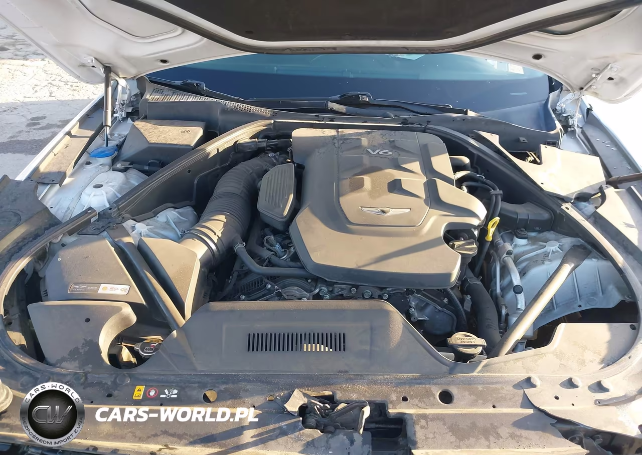 2018 Genesis G80 3.8 VIN:KMHGN4JE5JU239065 - 10