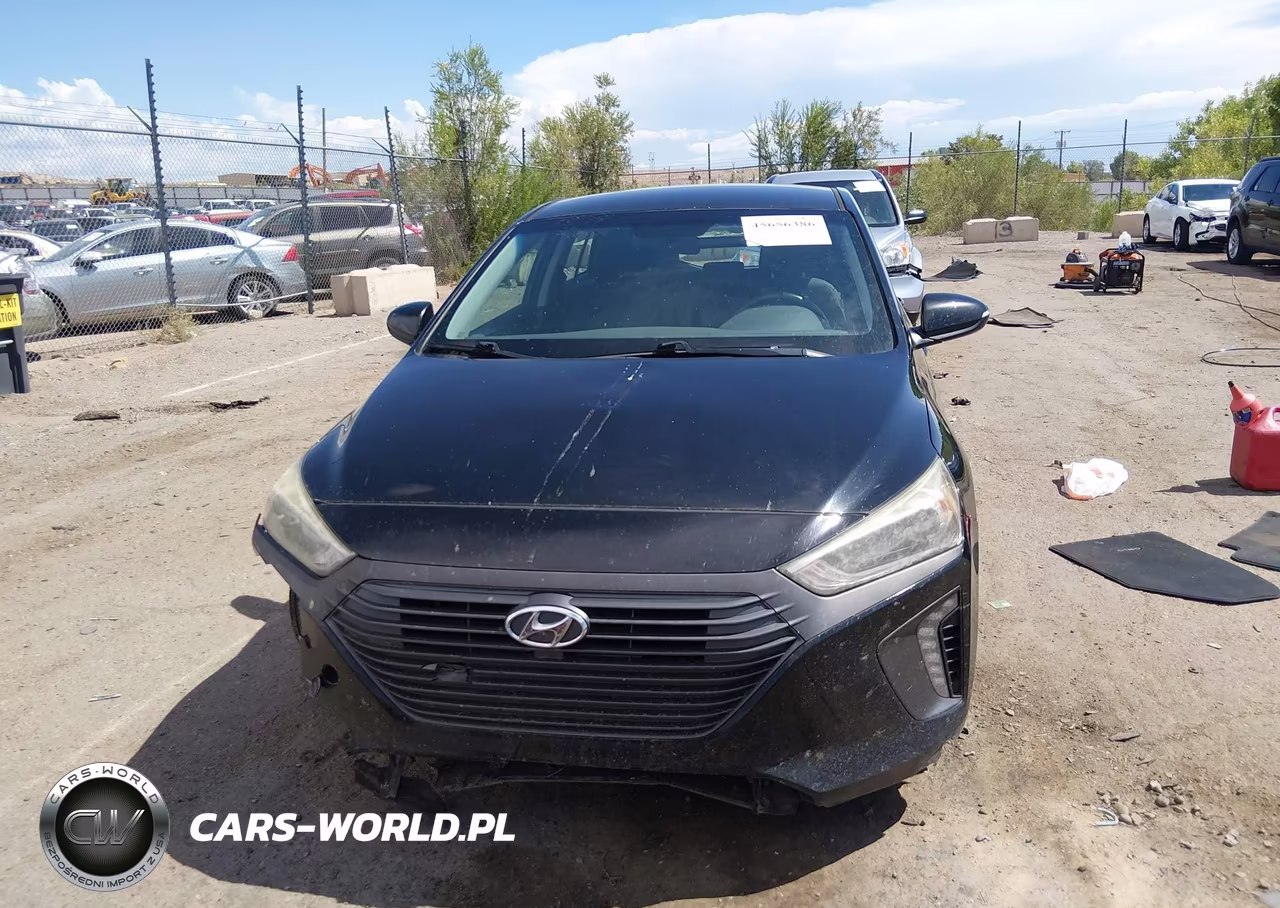 2018 Hyundai Ioniq Hybrid Sel VIN:KMHC75LC0JU069496 - 12