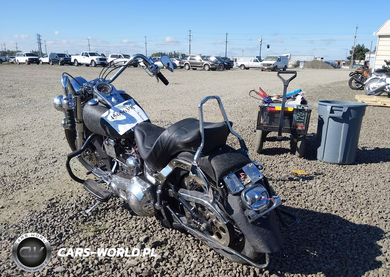 1992 Harley-Davidson Flstc VIN:1HD1BJL55NY019047 - 3