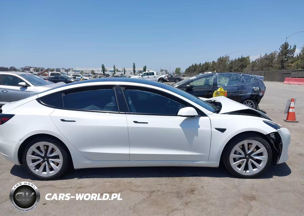 2021 Tesla Model 3 Standard Range Plus Rear-Wheel Drive VIN:5YJ3E1EA9MF928452 - 11