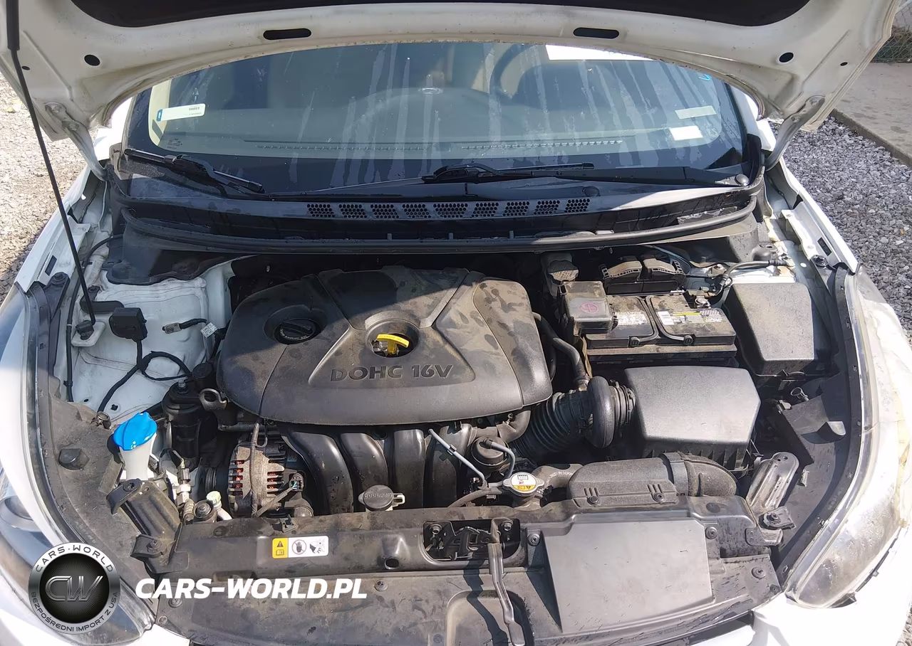 2014 Hyundai Elantra Limited VIN:5NPDH4AE3EH510221 - 10