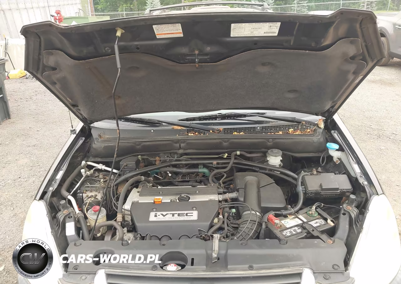 2004 Honda Cr-V Ex VIN:JHLRD788X4C016874 - 10