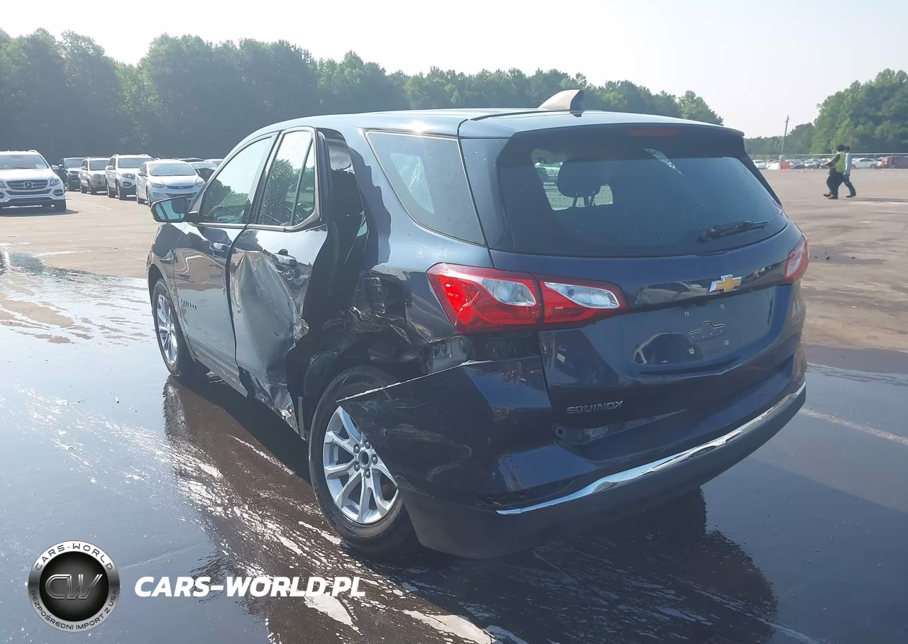 2018 Chevrolet Equinox Ls VIN:3GNAXHEV7JS531572 - 3