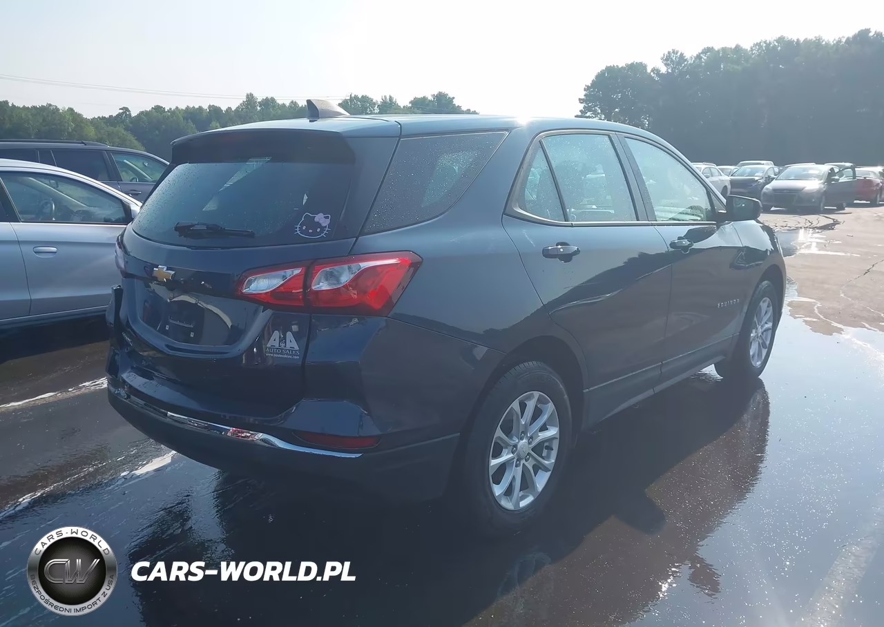 2018 Chevrolet Equinox Ls VIN:3GNAXHEV7JS531572 - 4