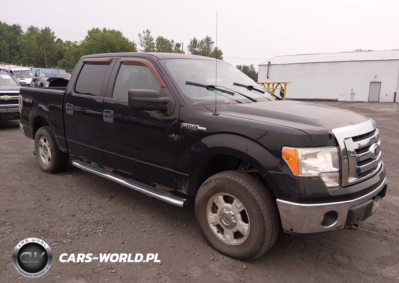 2011 Ford F-150 Xlt VIN:1FTFW1EF3BFA13868 - 1