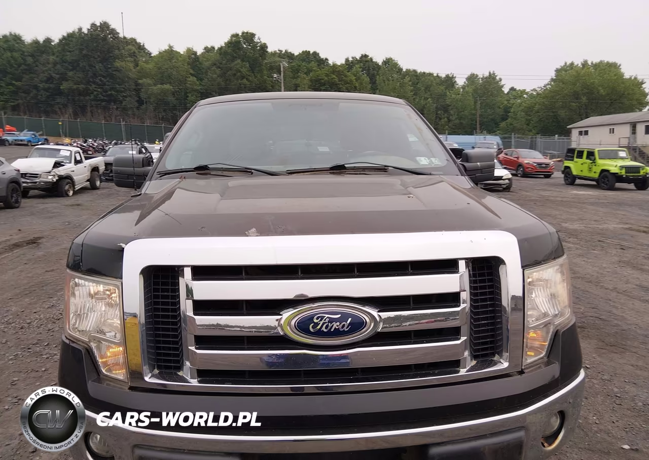 2011 Ford F-150 Xlt VIN:1FTFW1EF3BFA13868 - 12