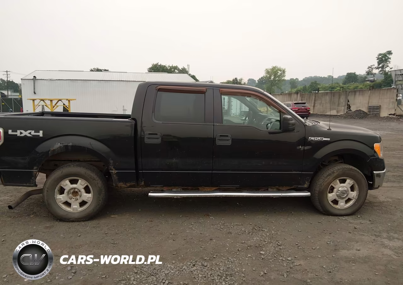 2011 Ford F-150 Xlt VIN:1FTFW1EF3BFA13868 - 13