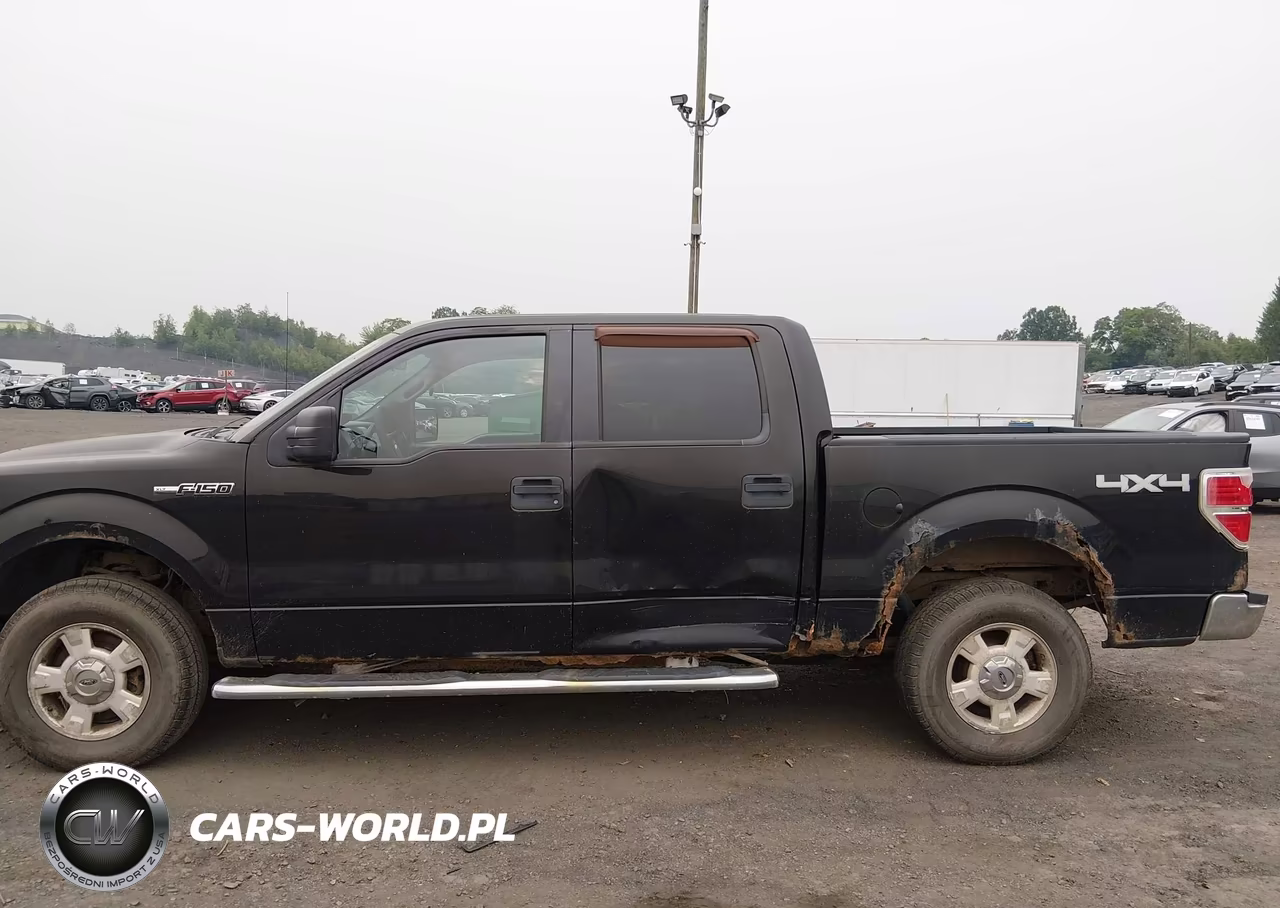 2011 Ford F-150 Xlt VIN:1FTFW1EF3BFA13868 - 14