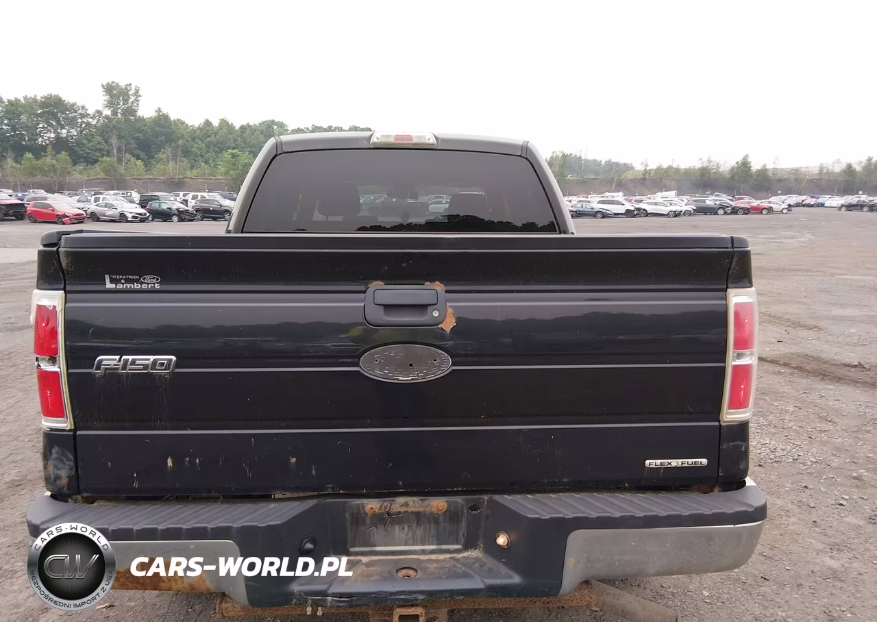 2011 Ford F-150 Xlt VIN:1FTFW1EF3BFA13868 - 16
