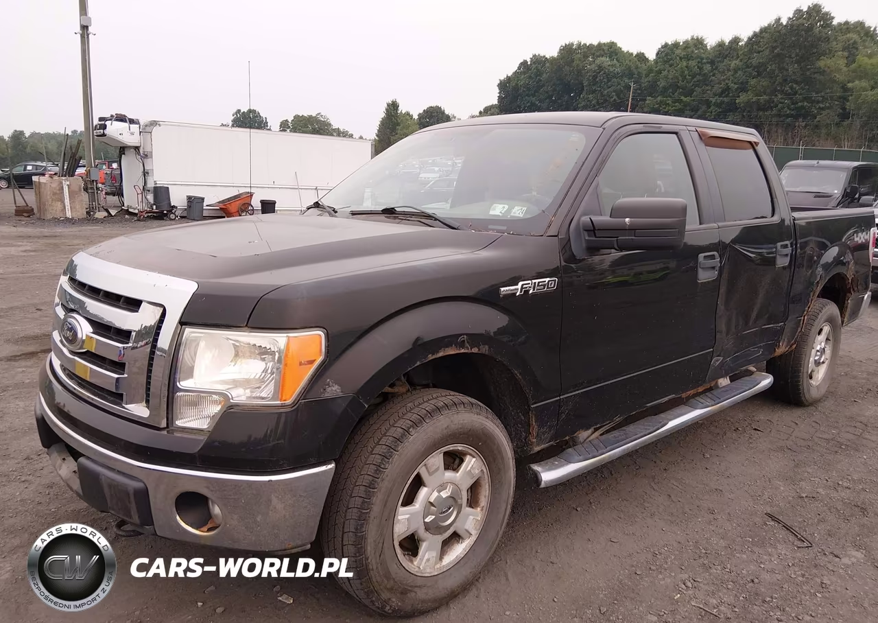 2011 Ford F-150 Xlt VIN:1FTFW1EF3BFA13868 - 2