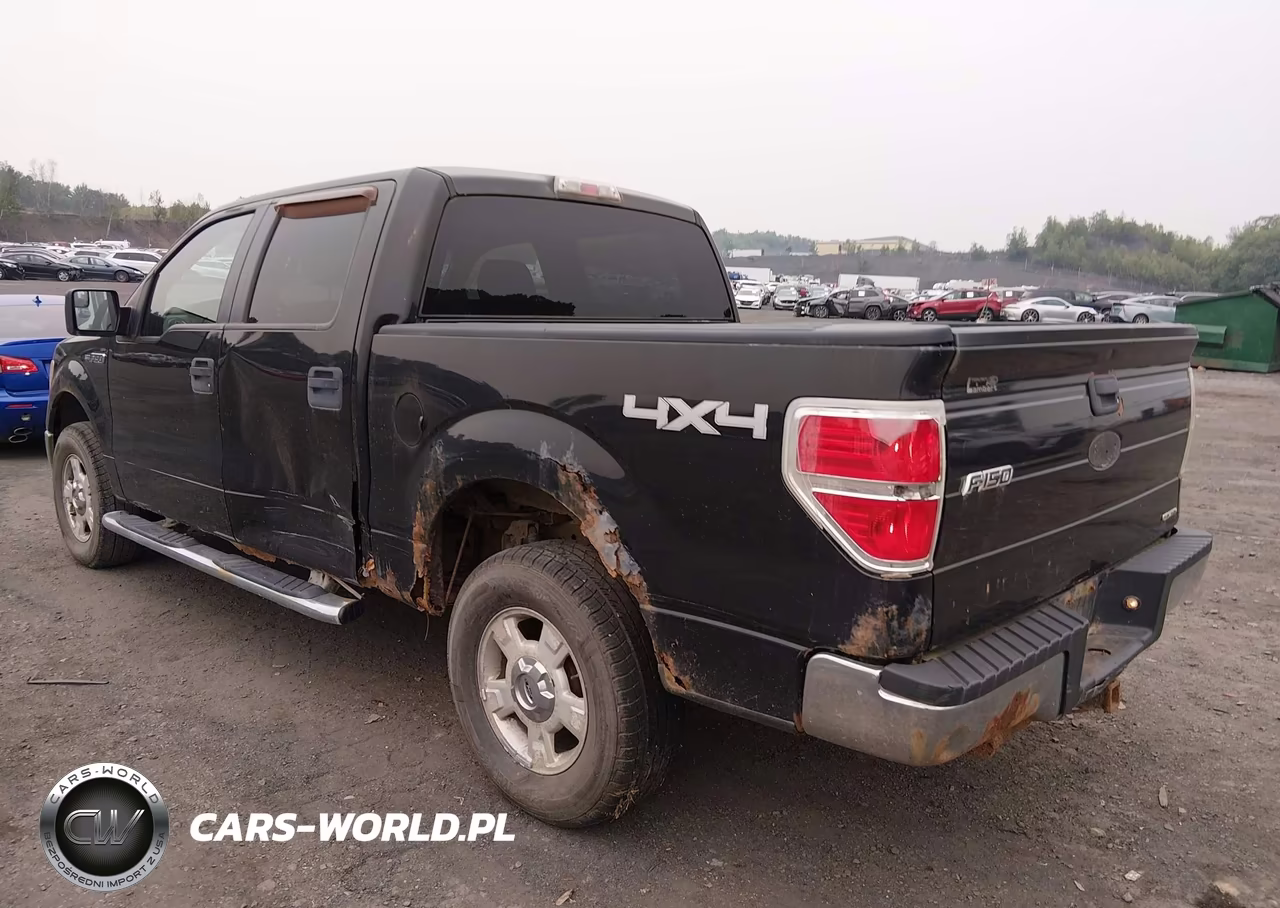 2011 Ford F-150 Xlt VIN:1FTFW1EF3BFA13868 - 3