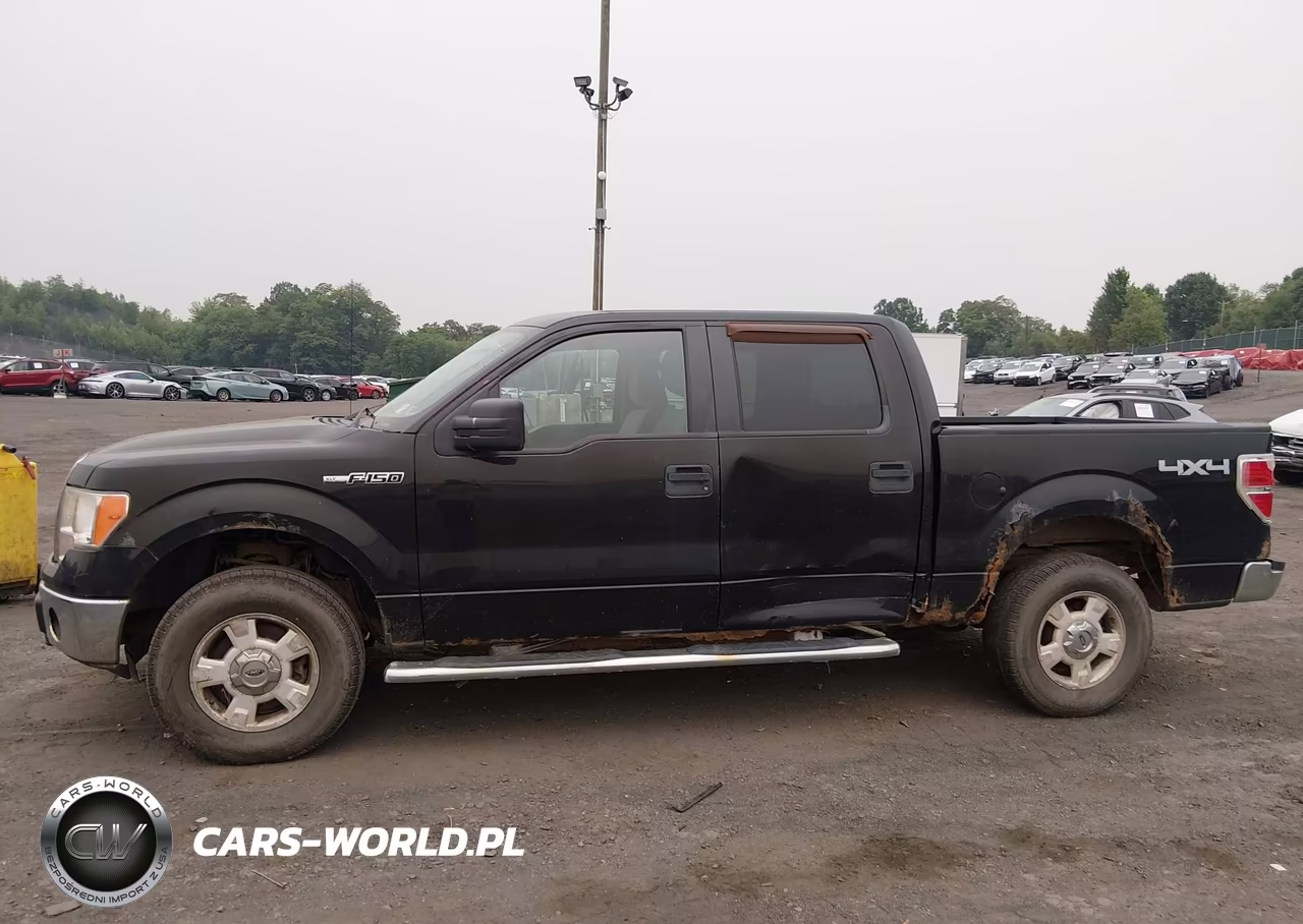 2011 Ford F-150 Xlt VIN:1FTFW1EF3BFA13868 - 6