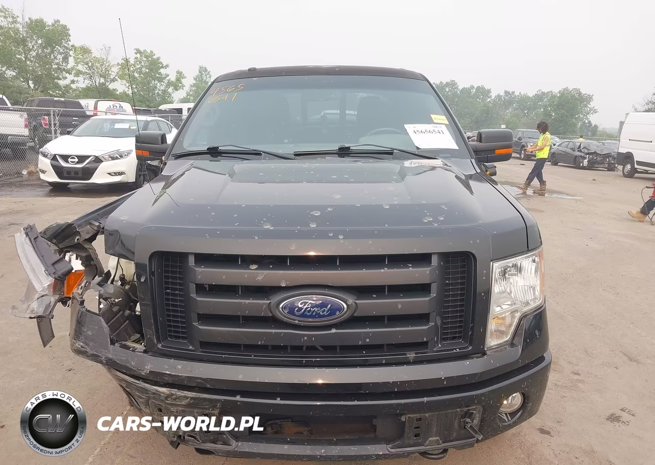 2010 Ford F-150 Fx4-Harley-Davidson-King Ranch-Lariat-Platinum-Xl-Xlt VIN:1FTFW1EV1AKB57755 - 12